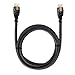 Shazo 3ft Cable