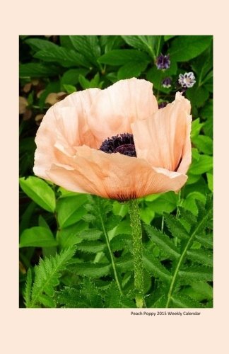 Peach Poppy 2015 Weekly Calendar: 2015 week by week calendar with a cover photo of a peach poppy