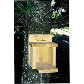 Squirrel Munch Box by Heath