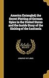 America Entangled; The Secret Plotting of German Spies in the United States and the Inside Story of the Sinking of the Lusitania