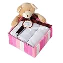 Baby Aspen "Honey Bear" Sweet Baby Girl Gift Set