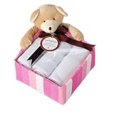 Baby Aspen Honey Bear Sweet Baby Girl Gift Set