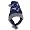 New England Patriots