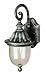 Trans Globe Lighting BK 15-Inch 1-Light Outdoor Wall Lantern, Black 4184