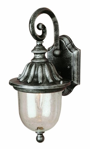 Trans Globe Lighting 4187 BK 20-Inch 1-Light Outdoor Wall Lantern, Black