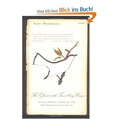 The Ghost with Trembling Wings: Science, Wishful Thinking and the Search for Lost Species