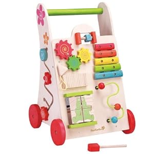 Maxim EverEarth Activity Walker