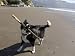 California, USA: Dog Playing on Beach with Stick Photographic Poster Print