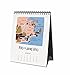 Rifle Paper Co 2017 Desk Calendar (Maps)