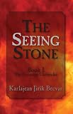 The Seeing Stone (The Firestorm Chronicles)