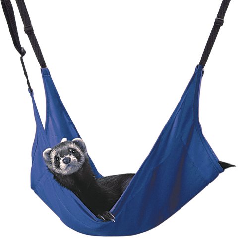Marshall Ferret Leisure Lounge, Colors may Vary