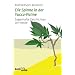 Die Spinne in der Yucca-Palme: Sagenhafte Geschichten von heute