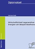 Wirtschaftlichkeit regenerativer Energien am Beispiel Bioethanol (German Edition)