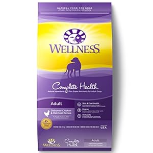 Wellness Complete Health Chicken & Oatmeal Natural Dry Dog Food, 30-Pound Bag