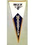Nashville Predators Classic NHL Pennant