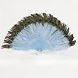 Sky Blue Marabou Feather Fan with Peacock Tips
