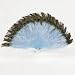 Sky Blue Marabou Feather Fan with Peacock Tips