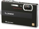 41FtlKHFOoL. SL160  Panasonic Lumix DMC FP8 12.1MP Digital Camera with 4.6x POWER Opical Image Stabilized Zoom and 2.7 inch LCD