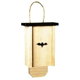 Rogers and Kirkwood Bat House by Rogers & Kirkwood