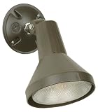 Single-Light Flood Light