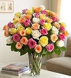 Ultimate Elegance Premium Long Stem Assorted Roses - Four Dozen Assorted Roses