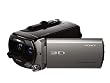 Sony HDRTD10ESDI Handycam Full HD 3D Camcorder - Silver (12x (10x 3D) Optical Zoom, 7.1MP, 3.5 inch Touch LCD)