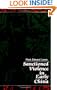 Sanctioned Violence in Early China (Suny Series in Chinese Philosophy and Culture)