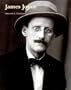 James Joyce (Literary Lives Series)