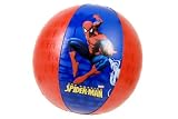 Classic Spiderman Outdoor 18in Beach Ball