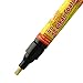 Simoniz Fix It Pro Clear Coat Scratch Repair Pen