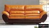 Contemporary Mustard and Brown Leather Living Room Sofa Sleeper Only