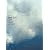 ap bank fes’07 [DVD]