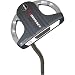 Sporting Goods : Odyssey 2-Ball SRT White Steel Putter (Heel-Shaft) by Callaway Golf