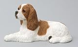 CAVALIER KING CHARLES Red n White Medium Figurine 347R