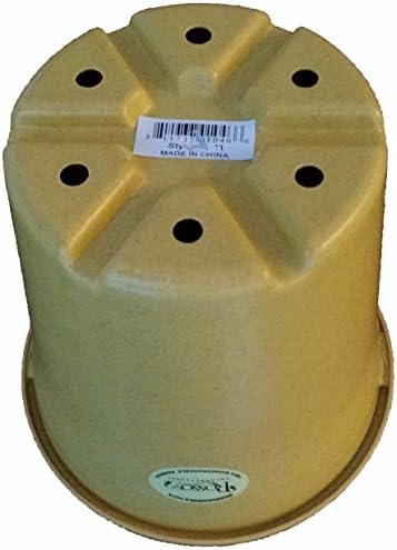 Rosso's International Bamboo 100% Biodegradable Plant Pot Yellow