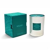 Voluspa Seasons Snow Flakes Candle - 10 oz