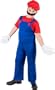 Child's Super Mario Brothers Costume (Size: Large)