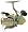 Syncopate 4000FE Front Drag