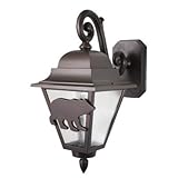 Americana Bear Series 17