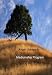 Mediumship DVD Course By Doreen Virtue