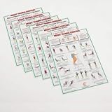 Chartex Gym/exercise & Fitness Dumbbell & Barbell Weight Training Charts/poster