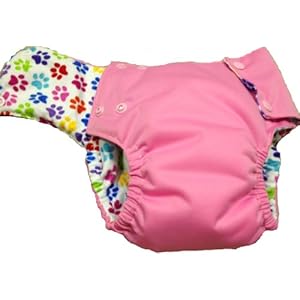 Kissa's Pocket Trainers