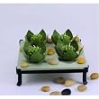 Southwestern Cactus Succulent Candle Set Tea Lights Shaped