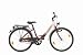 Texo Kinder ATB Fahrrad 24" ATB Mono 3-Gang Rücktrittbremsnabe