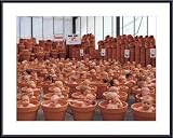123 Pots by Anne Geddes 31.50X23.75 Framed with Black Metal Frame
