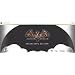 Batman: Arkham Asylum Collector's Edition