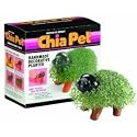 Chia Pet Handmade Decorative Planter, Puppy, 1 Kit