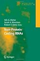 Non-protein coding RNAs