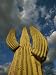 A Skyward View of a Saguaro Cactus Photographic Poster Print by John Burcham, 18x24
