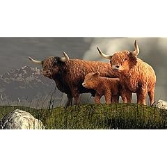 Schleich - 13658 Schottisches Hochlandrind Bulle, 13659 Schottisches Hochlandrind Kuh, 13660 Schottisches Hochlandrind Kalb - Schottisches Hochlandrind Familie